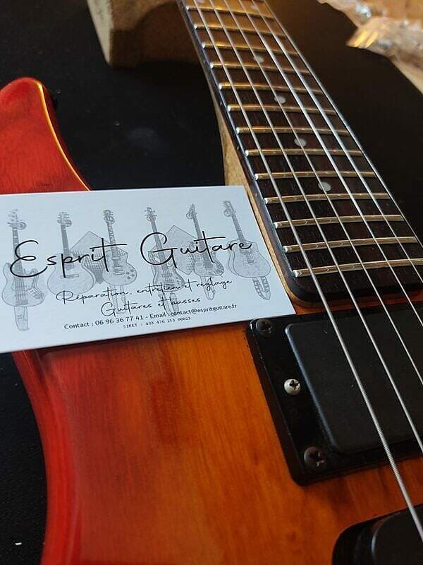 Guitare Steinberger GM7T